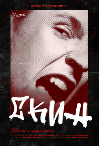 Скин