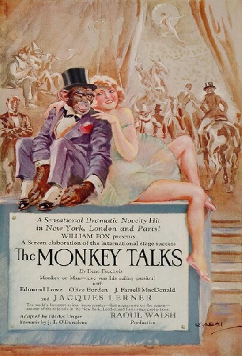The Monkey Talks