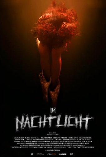 Im Nachtlicht