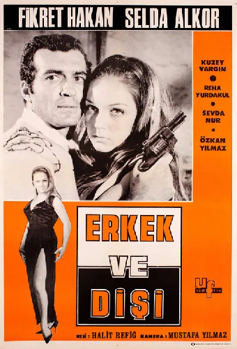 Erkek ve Dişi