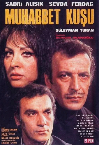 Muhabbet Kuşu
