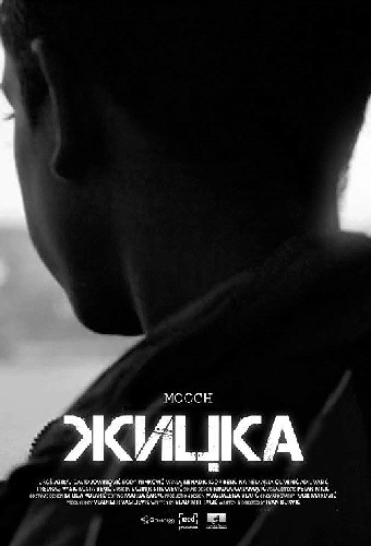 Žicka