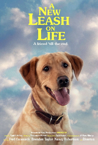 A New Leash On Life