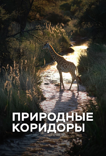 Природные коридоры