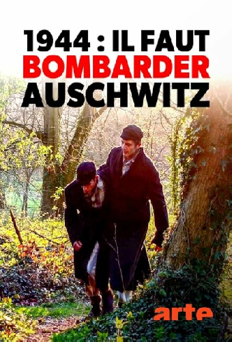 1944: Bomben auf Auschwitz?