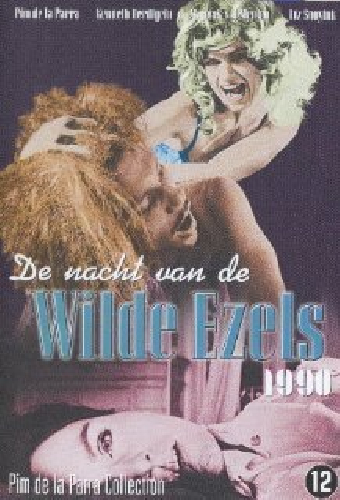 De nacht van de wilde ezels