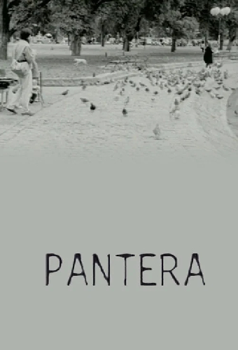 Пантера