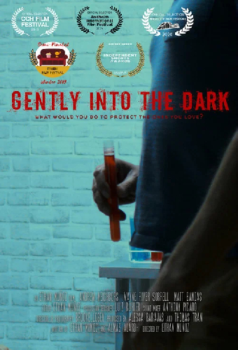 Gently Into the Dark