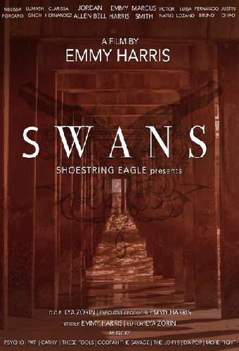 Swans