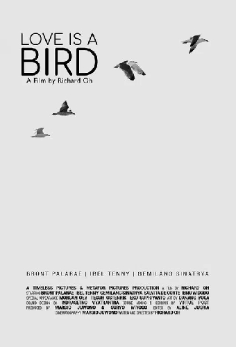 Love is A Bird
