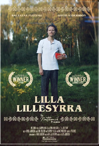 Lilla Lillesyrra