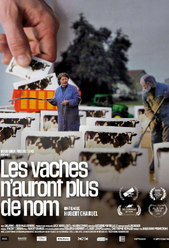Les vaches n'auront plus de nom