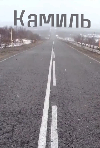 Камиль