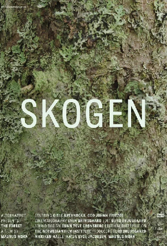 Skogen
