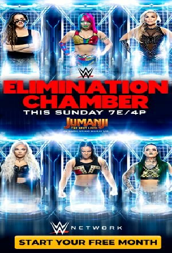 WWE Камера ликвидации