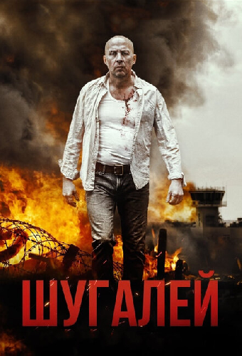 Шугалей