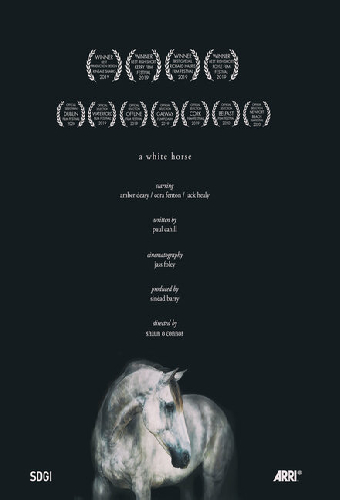 A White Horse