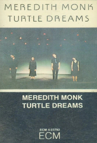 Turtle Dreams