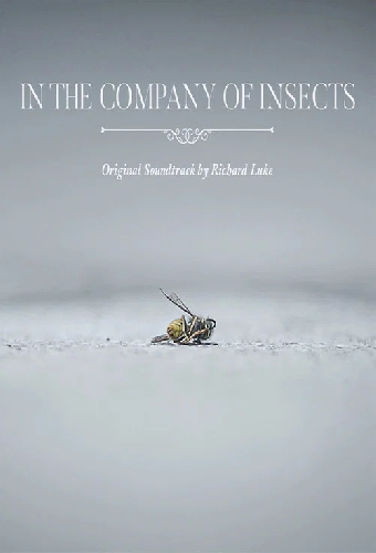 In the Company of Insects