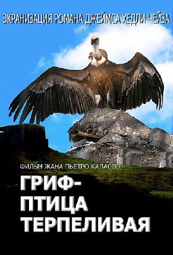 Гриф – птица терпеливая