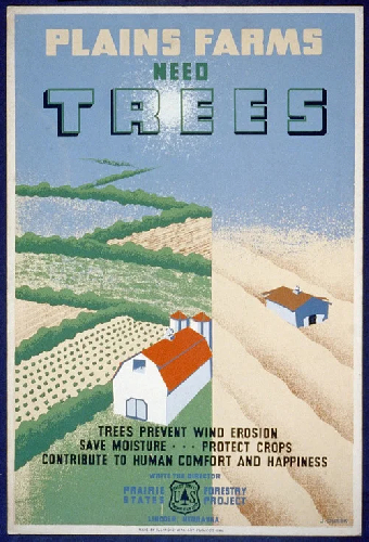 Windbreaks on the Prairies