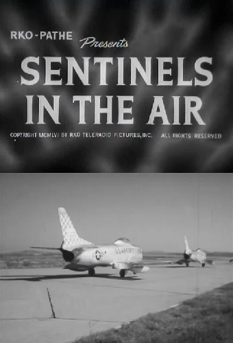 Sentinels in the Air