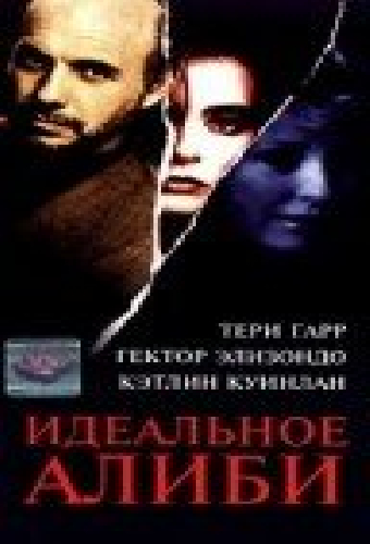 Идеальное алиби
