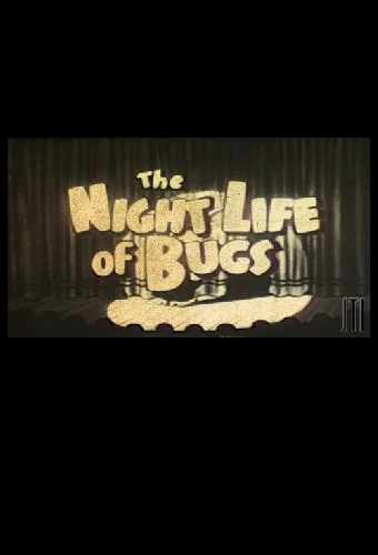Night Life of the Bugs