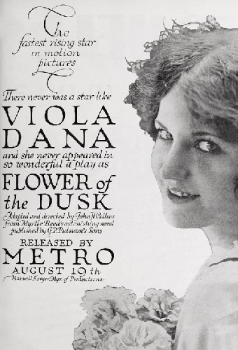 Flower of the Dusk