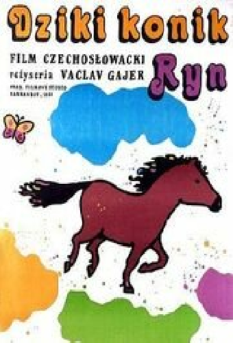 Divoký koník Ryn