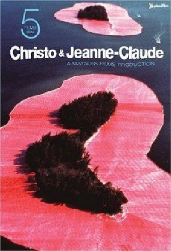 Зонтики