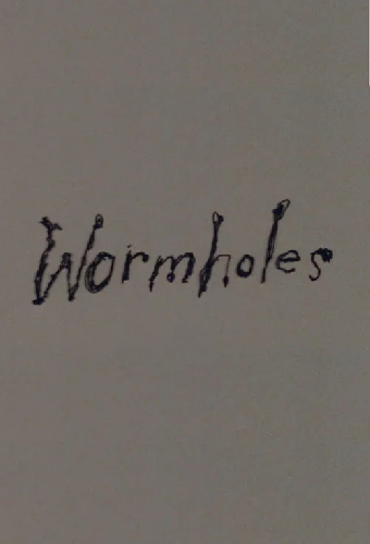 Wormholes