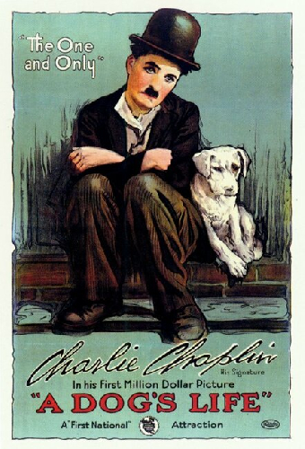 Собачья жизнь
