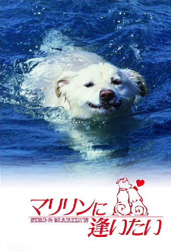 マリリンに逢いたい