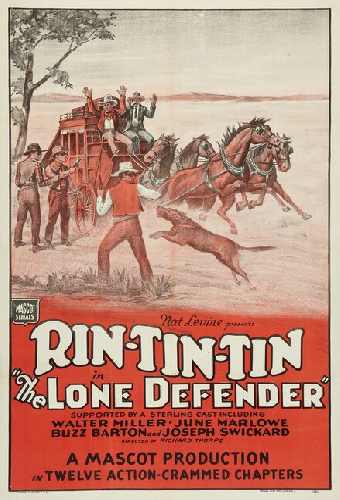 The Lone Defender