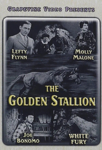 The Golden Stallion