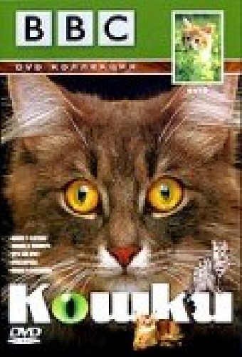 BBC: Кошки