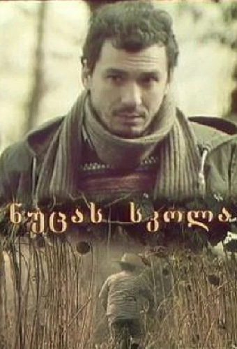 Школа Нуцы