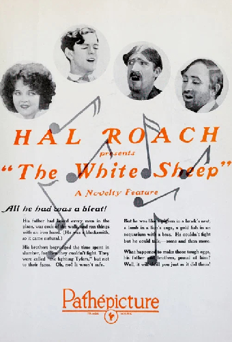 The White Sheep