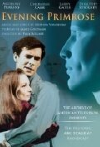 Вечерний первоцвет