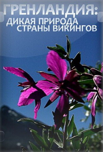 Гренландия: Дикая природа страны викингов