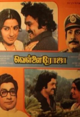 வெள்ளை ரோஜா