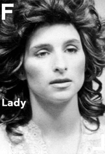 Lady