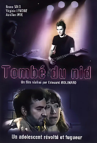Падающее гнездо