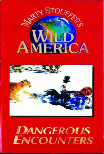Dangerous Encounters