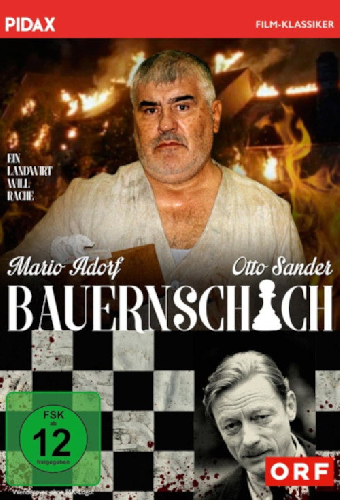 Шахматная пешка