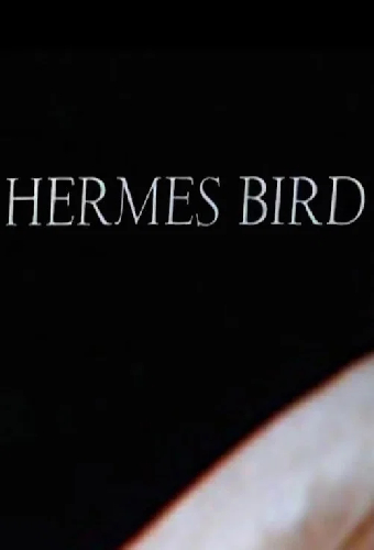 Hermes Bird