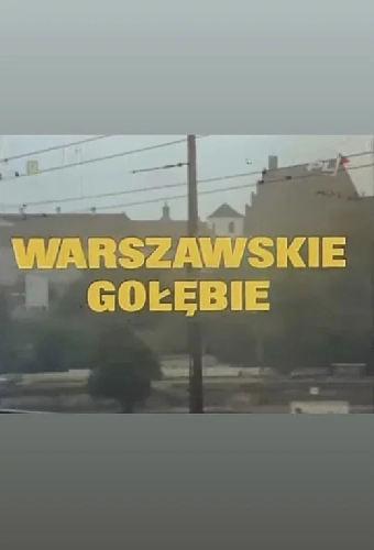 Варшавские голуби