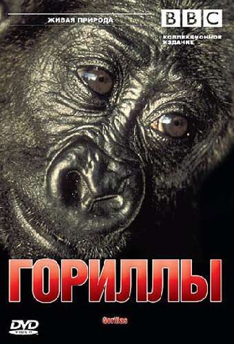 BBC: Гориллы