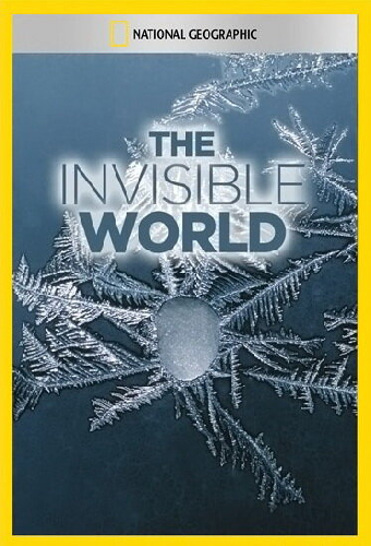 National Geographic: The Invisible World